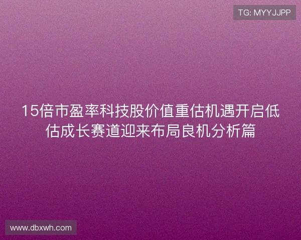 15倍市盈率科技股价值重估机遇开启低估成长赛道迎来布局良机分析篇